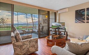 تلفزيون، مشغل دي في دي