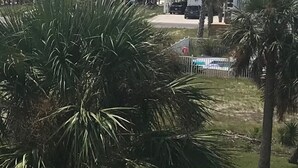 A coastal residential area with houses, a parked car, and palm trees. - Spacious condo, fully furnished! Steps from white sugary sand of Gulf Shores! (Gulf Shores)