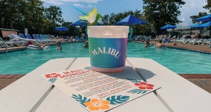 The Great Lake Escape 1 mile to downtown / Walk 2 Beach / Pool Pass Included !!