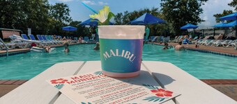 The Great Lake Escape 1 mile to downtown / Walk 2 Beach / Pool Pass Included !!