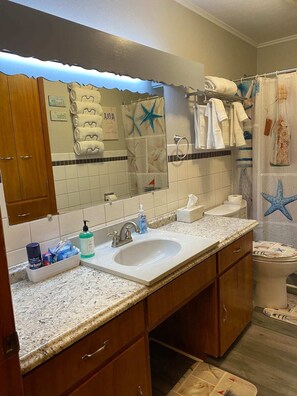 Combined shower/bathtub, hair dryer, towels, soap