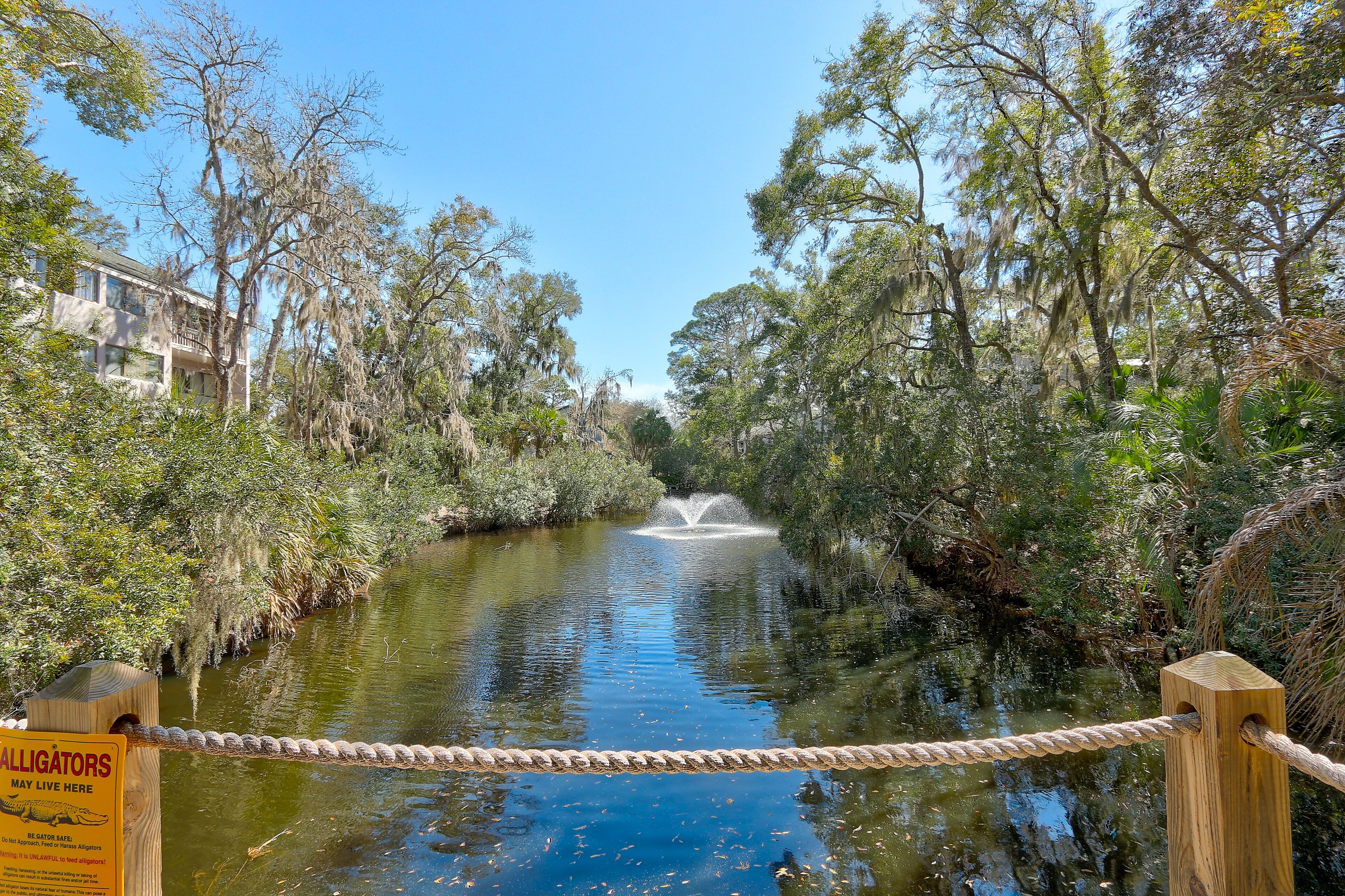 A waterway with a fountain, surrounded by trees and a wooden fence.