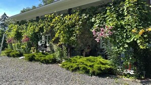Una casa con fachada de piedra, camino de entrada de grava y un jardín con diversas plantas y flores.