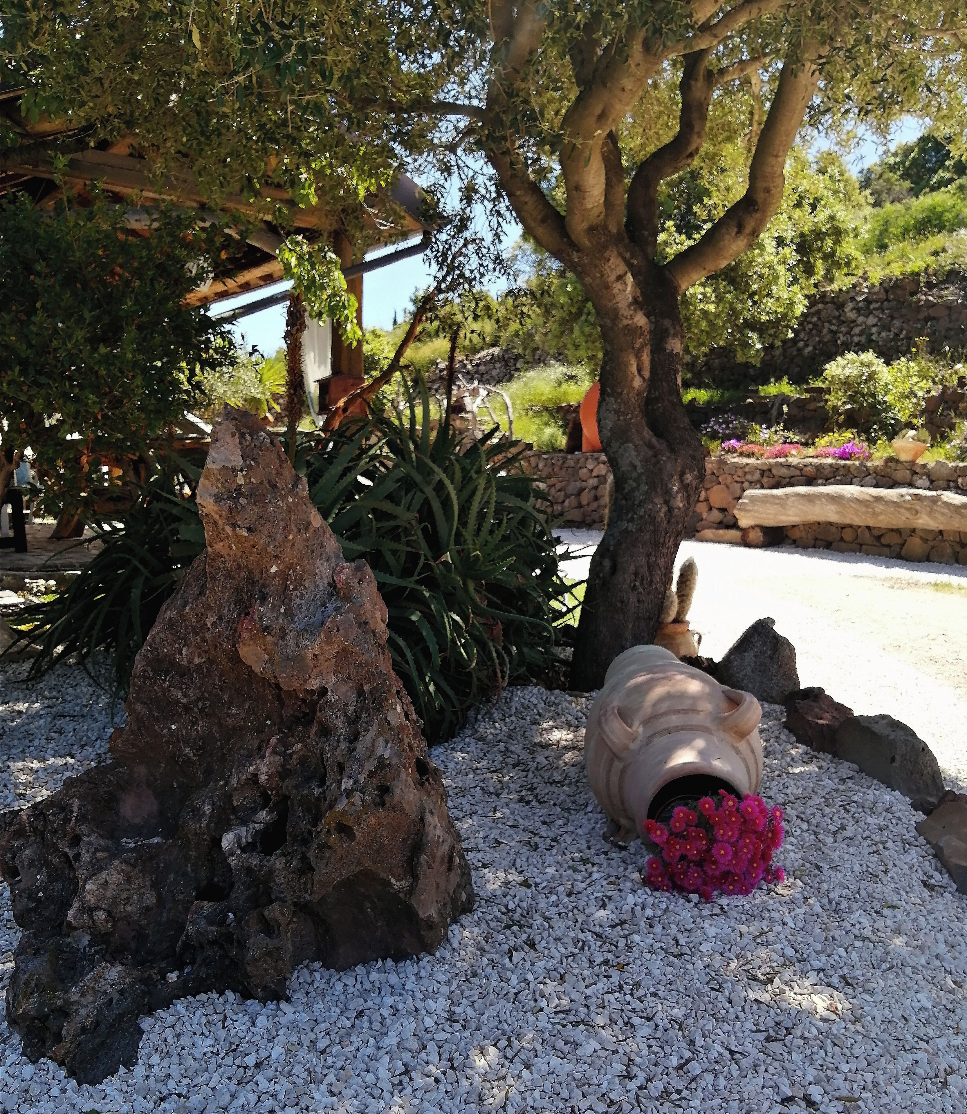 Terrein van de accommodatie