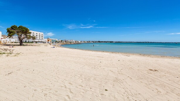 A beach with a clear sky, a sandy shore, and a building with a tree in the foreground.