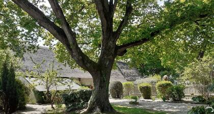 Charming thatched cottage between land and sea.