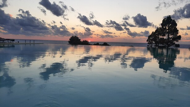 A serene infinity pool reflecting the sky and trees, with a sunset view and distant shoreline.