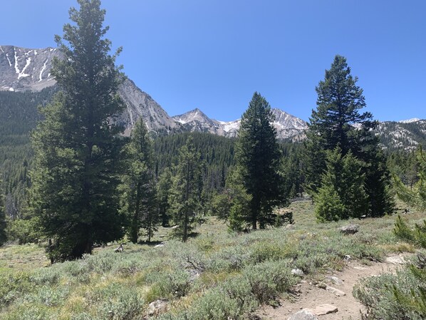 A mountainous landscape with dense forests and a clear sky. - Get away from it all (Challis)