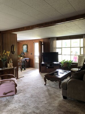 TV, fireplace, DVD player, books