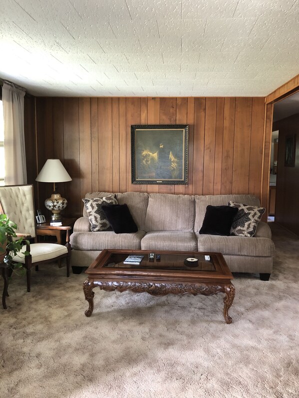 TV, fireplace, DVD player, books