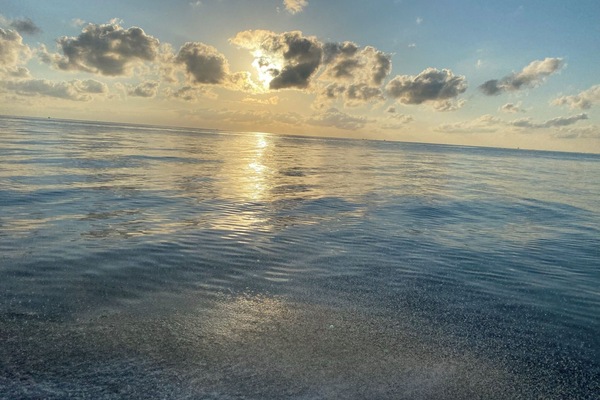 Nær stranden og strandhåndklær