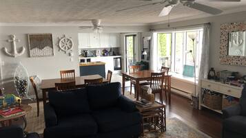 Smart TV, fireplace, DVD player, books