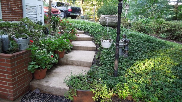 Um jardim com degraus que levam a uma casa, rodeado por vegetação e um poste de luz.
