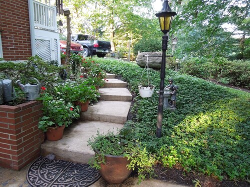 Quiet Bird River Bungalow and Nature Retreat Pet Friendly 