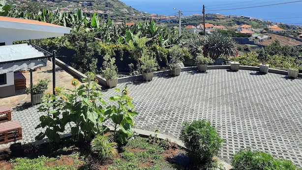 Jardim no terraço com vasos de plantas e vista para uma cidade costeira.