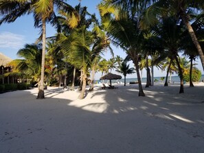 Perto da praia, espreguiçadeiras, toalhas de praia 
