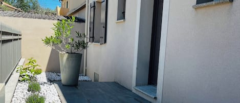A building with a flat roof, a paved entrance area, and a potted plant.
