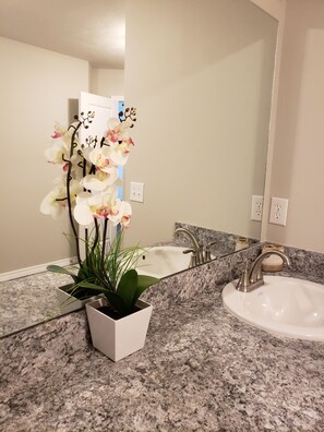 Combined shower/tub, hair dryer, towels, soap