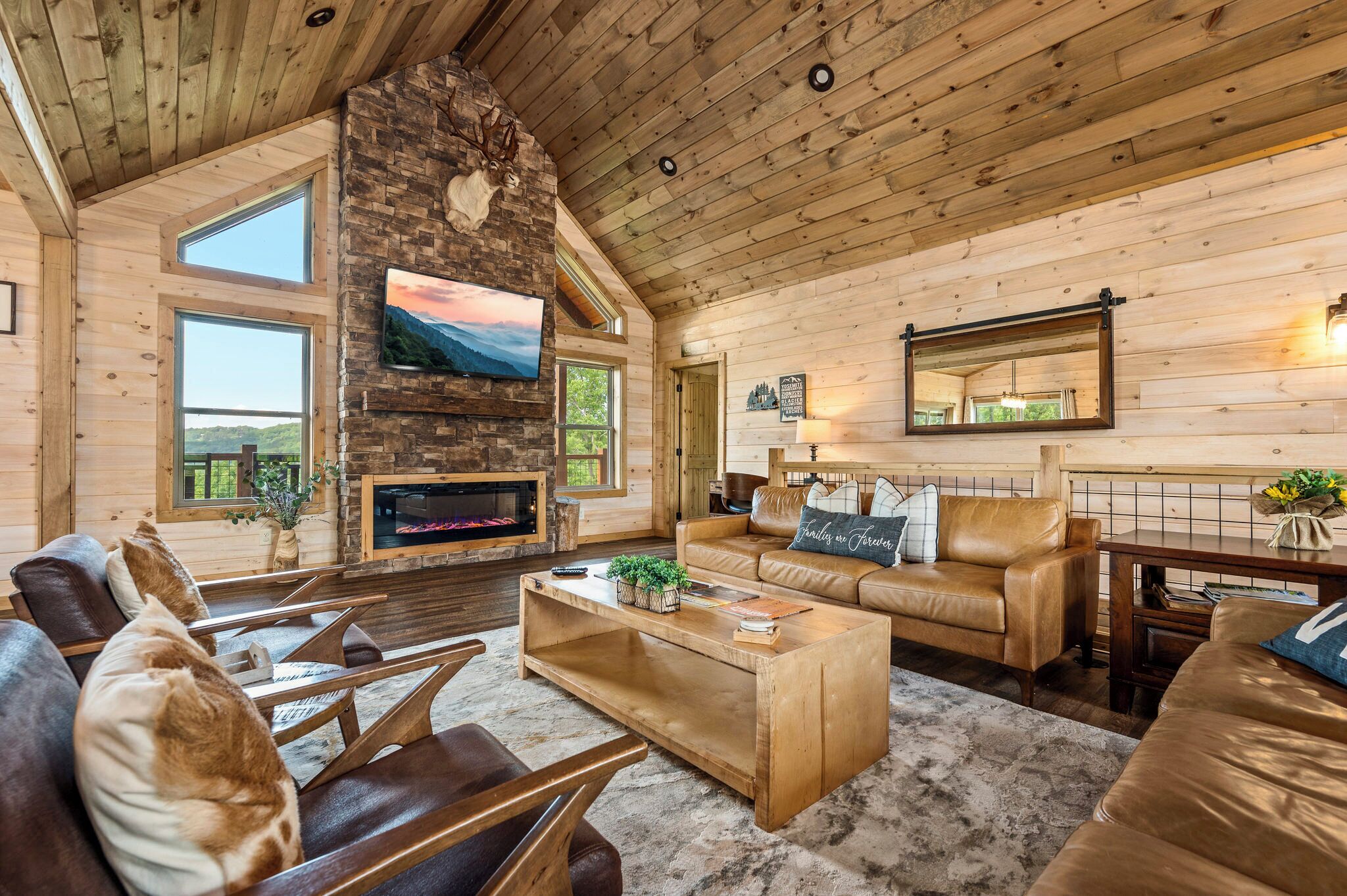 Smart TV, fireplace, video games, DVD player