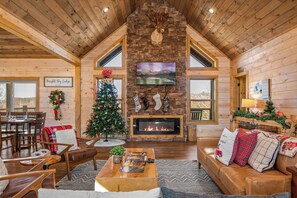 Smart-TV, Kamin, Videospiele, DVD-Player