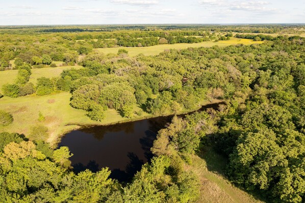 An aerial view of a forested area with a river and open fields.