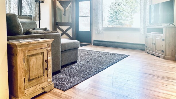 A living room with a grey sofa, wooden cabinet, and a patterned rug.
