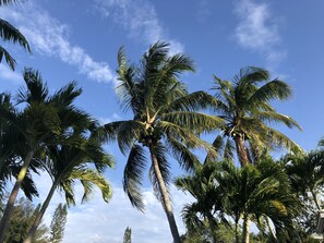 未分类图片，第 4 张，共 9 张，按钮