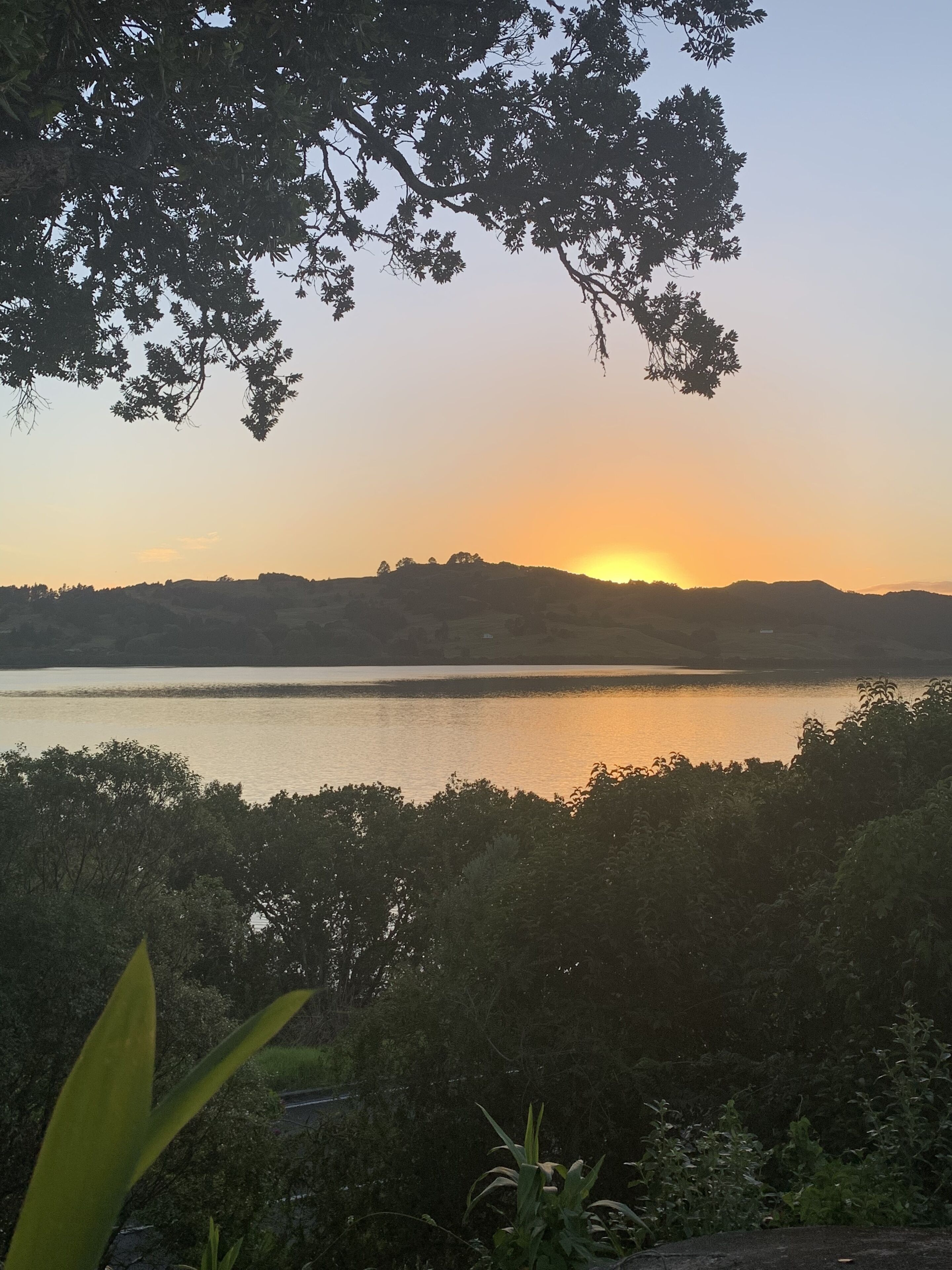 A sunset over a calm lake with hills in the background and dense foliage in the foreground.