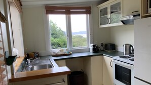 A compact kitchen with a sink, stove, and microwave. There's a window with a view of greenery outside. - Historic cottage with harbour views (Kohukohu)