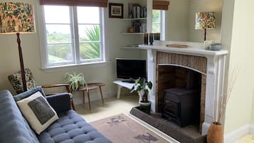 TV, fireplace, DVD player, books
