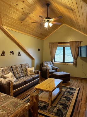 Smart TV, fireplace, books