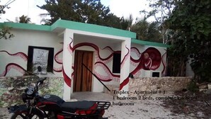 Un bâtiment à deux étages surmonté d’un toit végétalisé, avec une moto garée devant et une fresque représentant des poulpes sur les murs extérieurs.