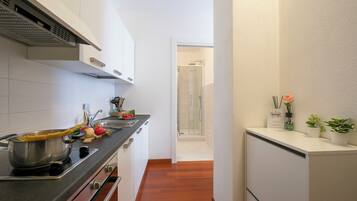 Standard Studio (Moonlight - 150m from the lake) | Private kitchen | Fridge, oven, stovetop, dishwasher