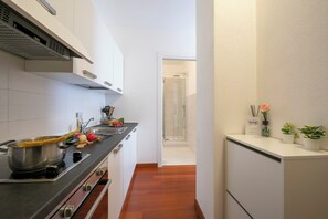 Standard Studio (Moonlight - 150m from the lake) | Private kitchen | Fridge, oven, stovetop, dishwasher