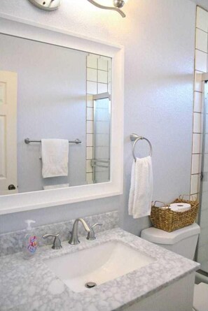 Shower, hair dryer, towels