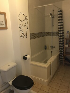 Combined shower/bathtub