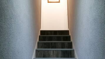 Apartment | Interior