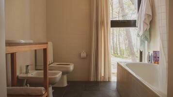 Combined shower/tub, hair dryer, bidet, towels