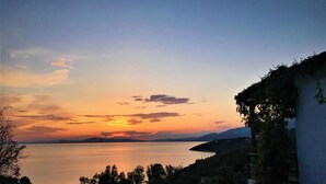 Une vue sur le coucher de soleil, avec un plan d’eau calme, une côte lointaine et de la végétation.
