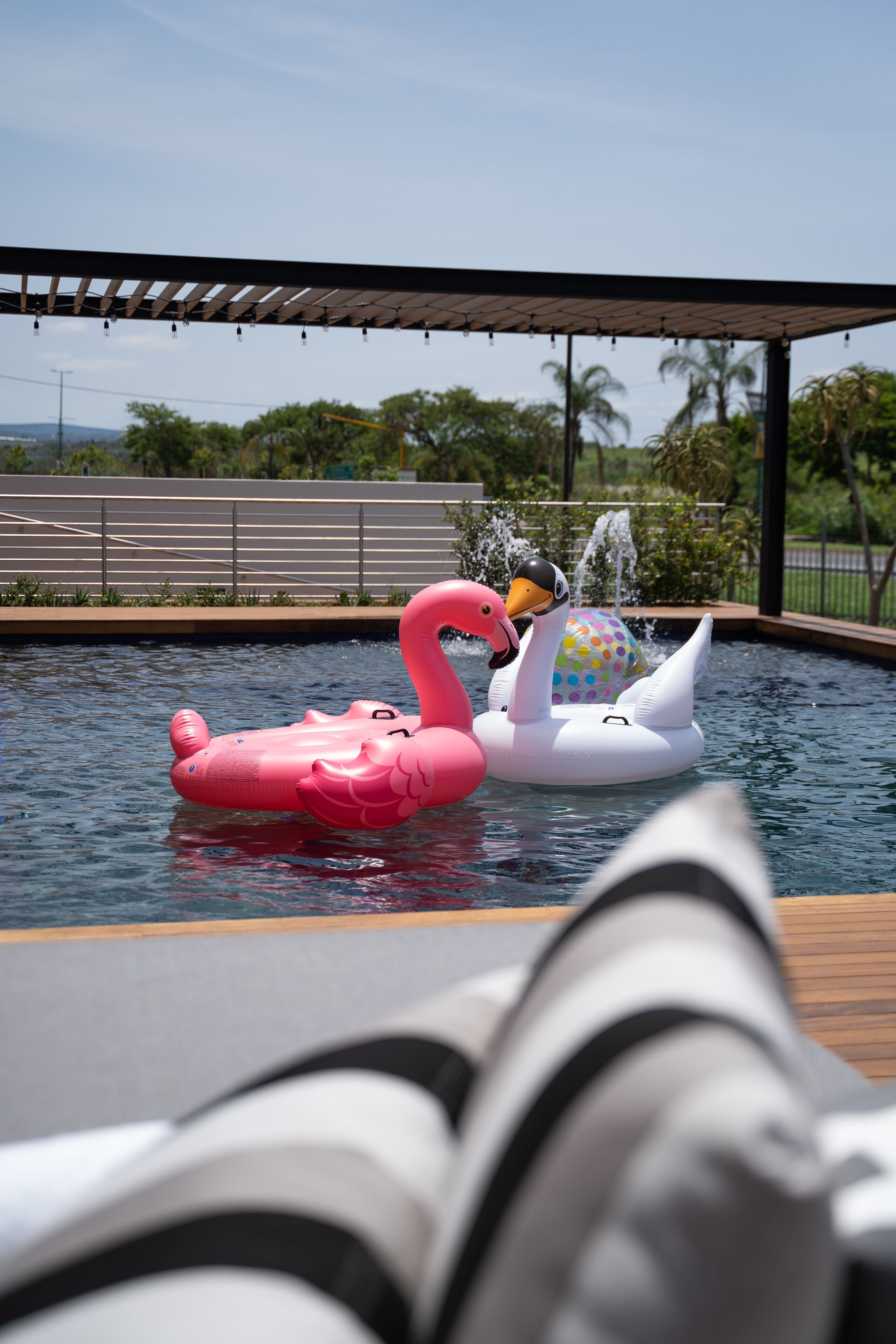 A pool with two swan-shaped inflatable floats, one pink and one white, with a colorful ball on the white float.