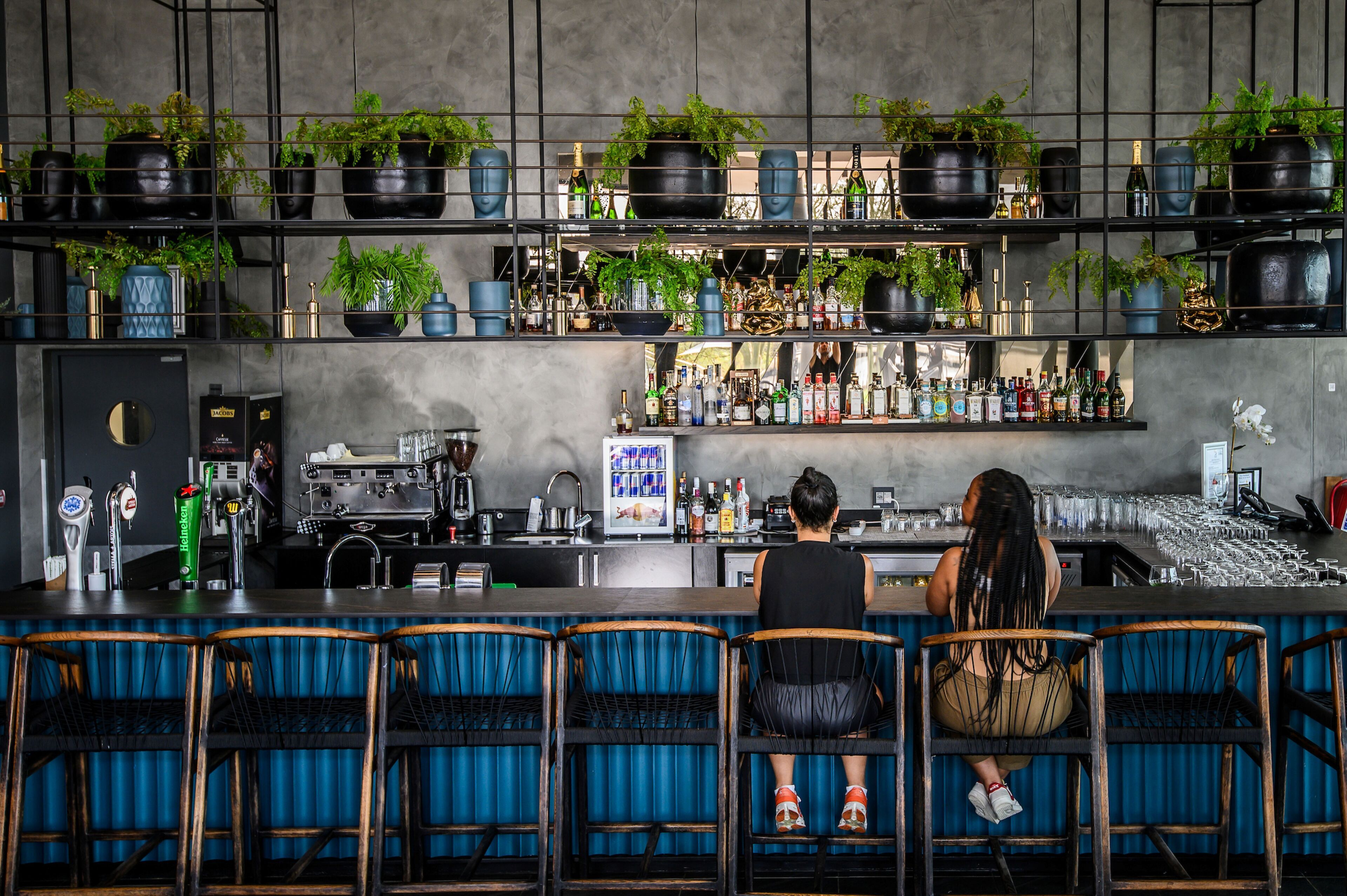 A bar area with multiple shelves of bottles and plants, a coffee machine, and bar stools.