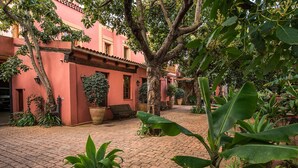 Une cour avec un bâtiment rouge, des plantes en pot et un banc.