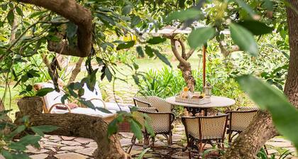 HomeForGuest Casa Rural El Laurel avec terrasse et grands jardins