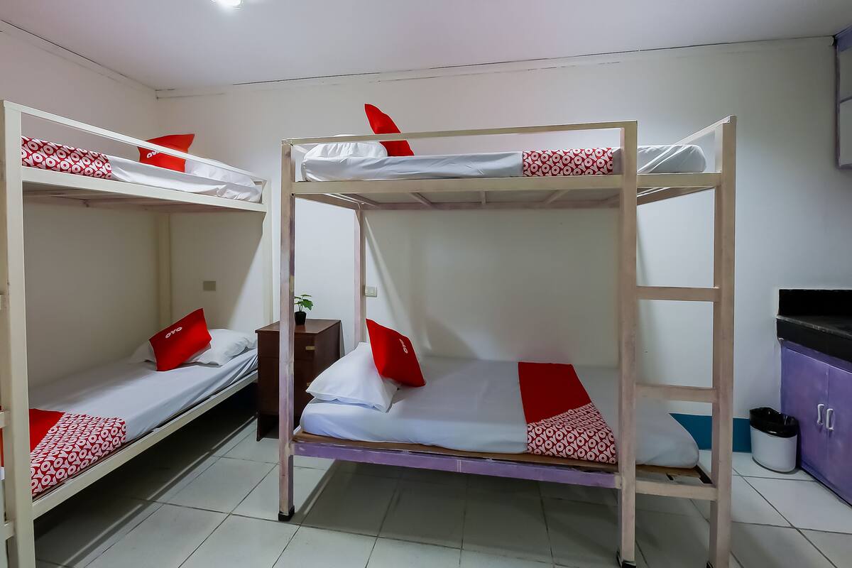 A dormitory room with bunk beds, a small table with a plant, and a purple cabinet.