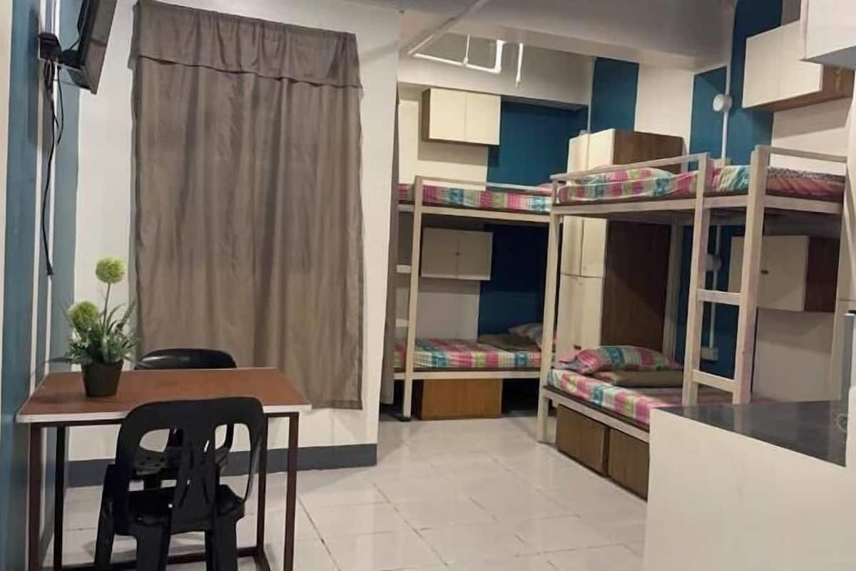 A dormitory room with bunk beds, a desk, a chair, and a potted plant.
