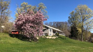 A house with a porch, surrounded by trees and a grassy hill.