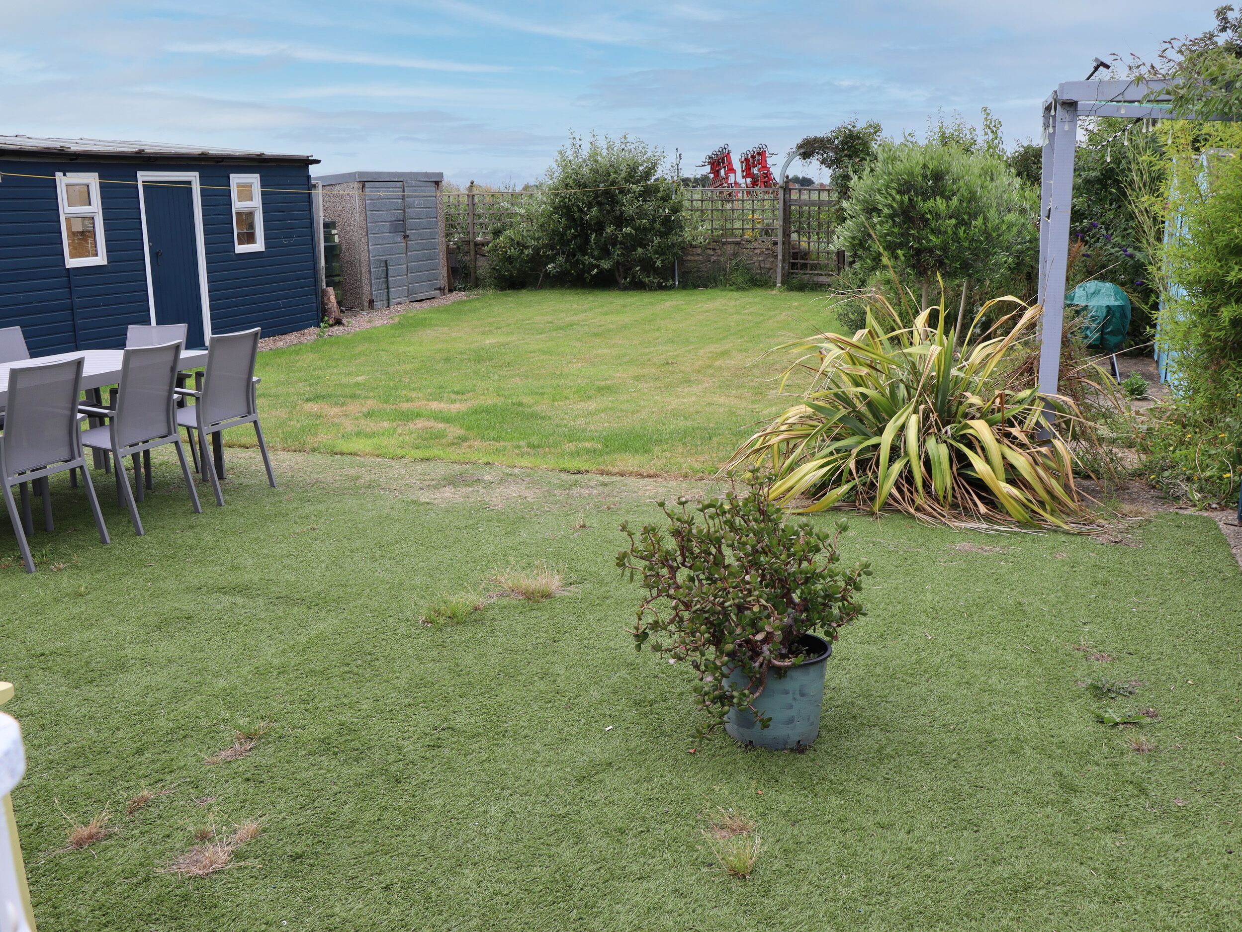 A backyard with a lawn, a small potted plant, and a blue shed.