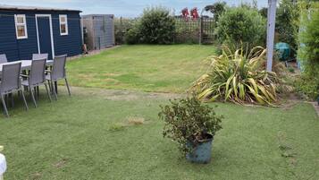 A backyard with a lawn, a small potted plant, and a blue shed.