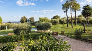 Un jardin aménagé avec une piscine, des arbres et un ciel dégagé.