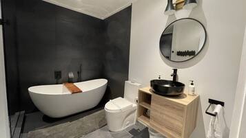 Combined shower/bathtub, jetted bath, hair dryer, towels
